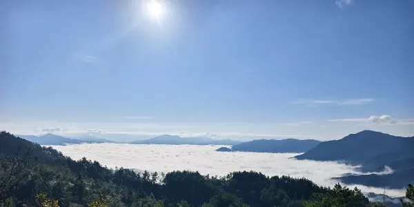 清潭大栗树碉楼堡：云海之上的观景秘境