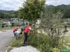 枫树村：依法清理孳生地 共享健康秋冬季