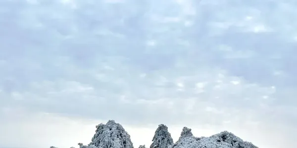 2026年元月牛草山雪景