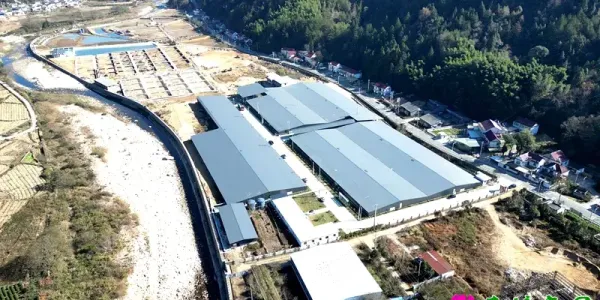 深山鳗鱼跃“龙门” 特色养殖促振兴