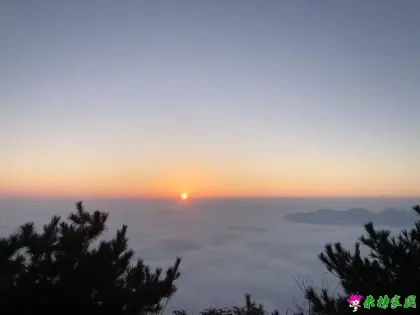 牛草山云海