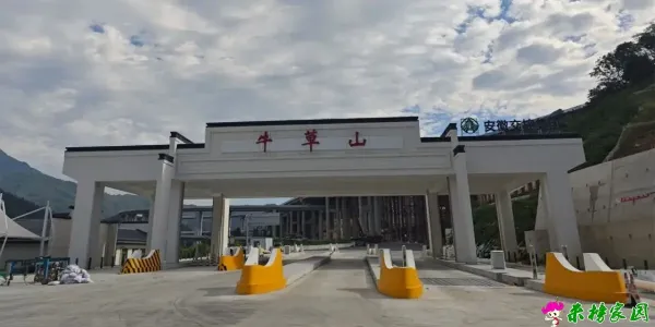 通车倒计时！济广高速牛草山出口交工验收！