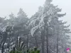 来牛草山看雾凇吧