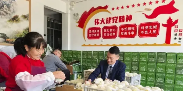 岳西农商银行助力横河村从“资金缺口”到“产业兴旺”