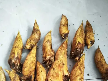 冬笋配腊肉，是家的味道在召唤