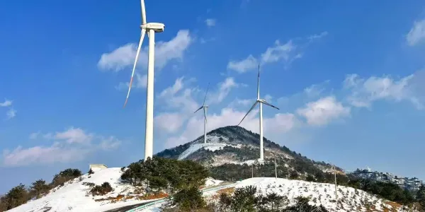 雪漫牛草山，邂逅2026初雪仙境