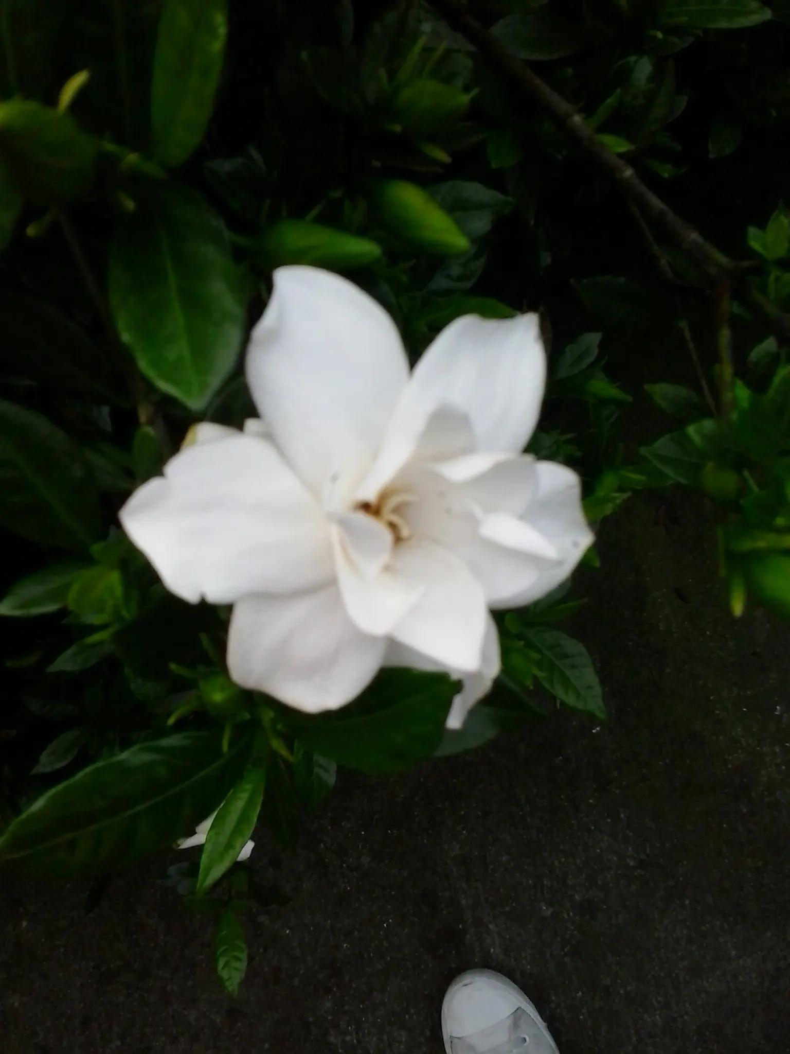 20140606_182814.webp