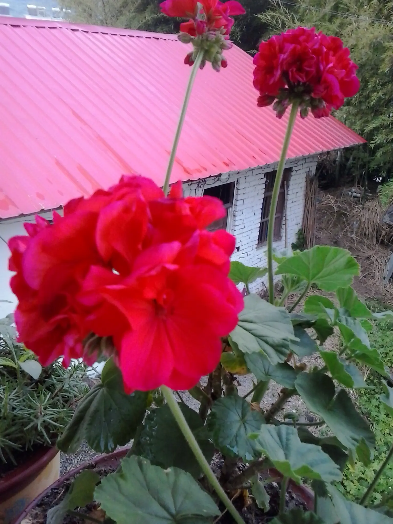 20140612_070757.webp