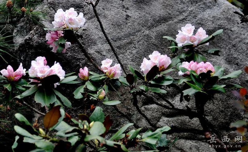 20140425075936566.webp