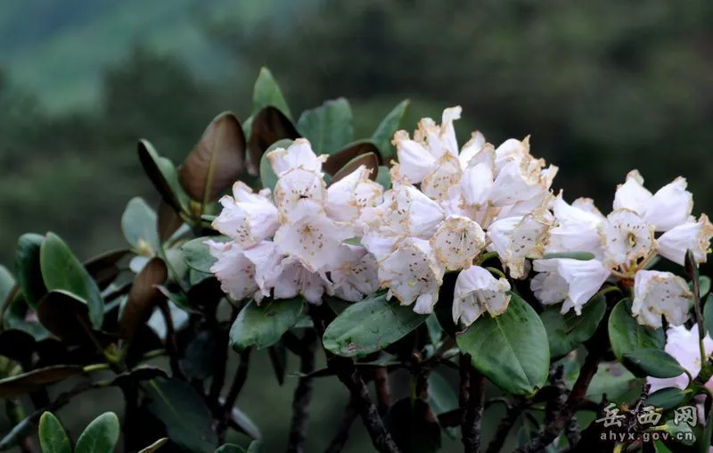 20140425075937126.webp