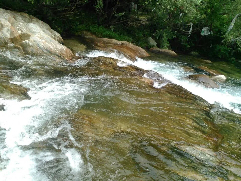 QQ图片20140615114932.webp
