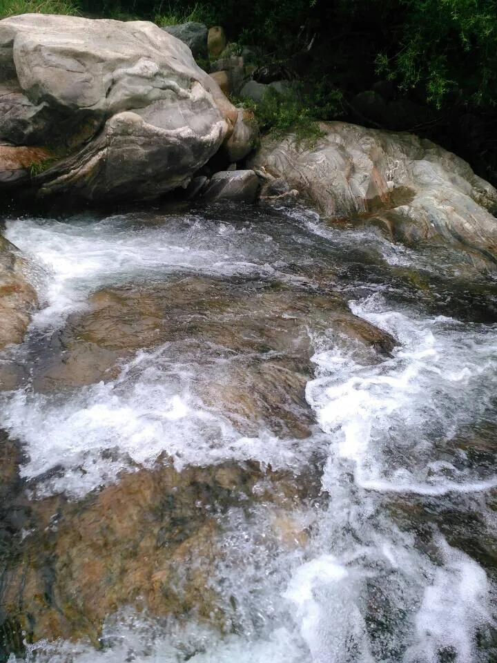 QQ图片20140615114938.webp