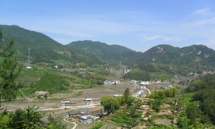 南山.webp