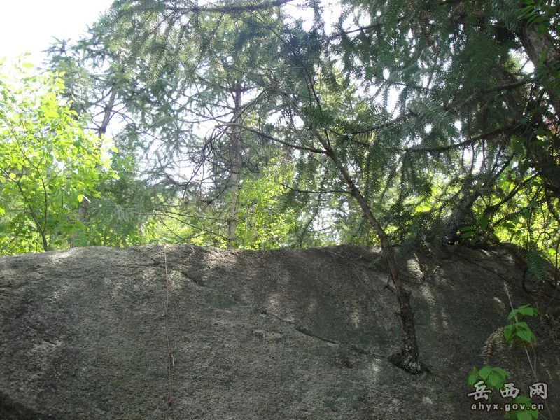 20140425075900865.webp