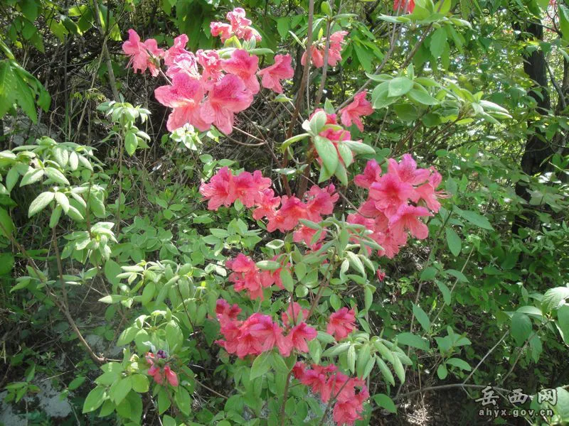 20140425075904589.webp