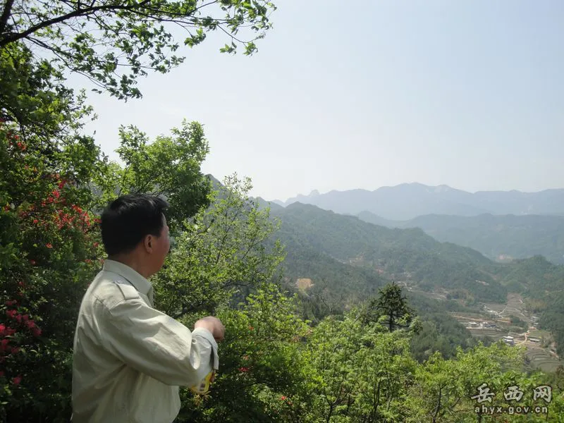 20140425075905288.webp