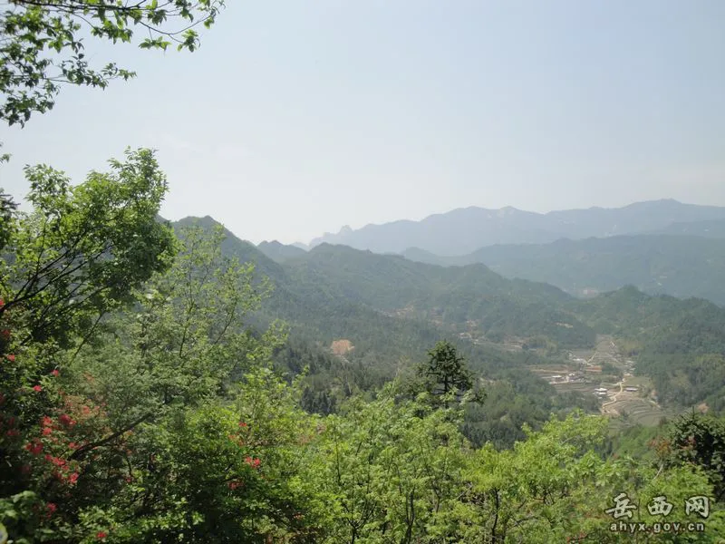 20140425075905996.webp
