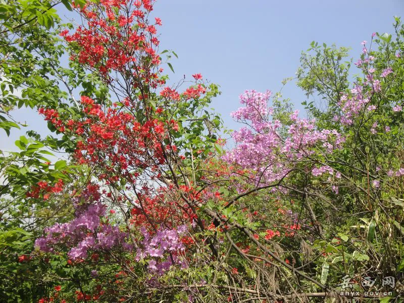 20140425075907364.webp