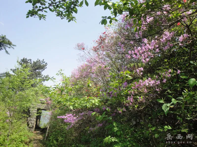 20140425075908214.webp