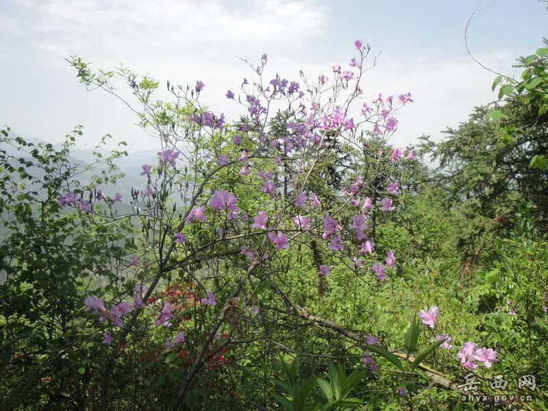 20140425075907902.webp