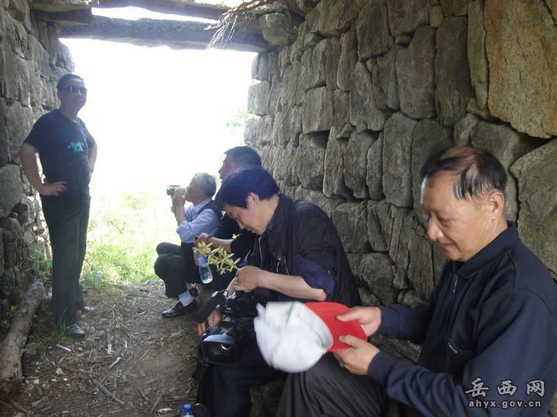 20140425075910811.webp