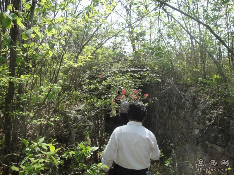 20140425075914277.webp