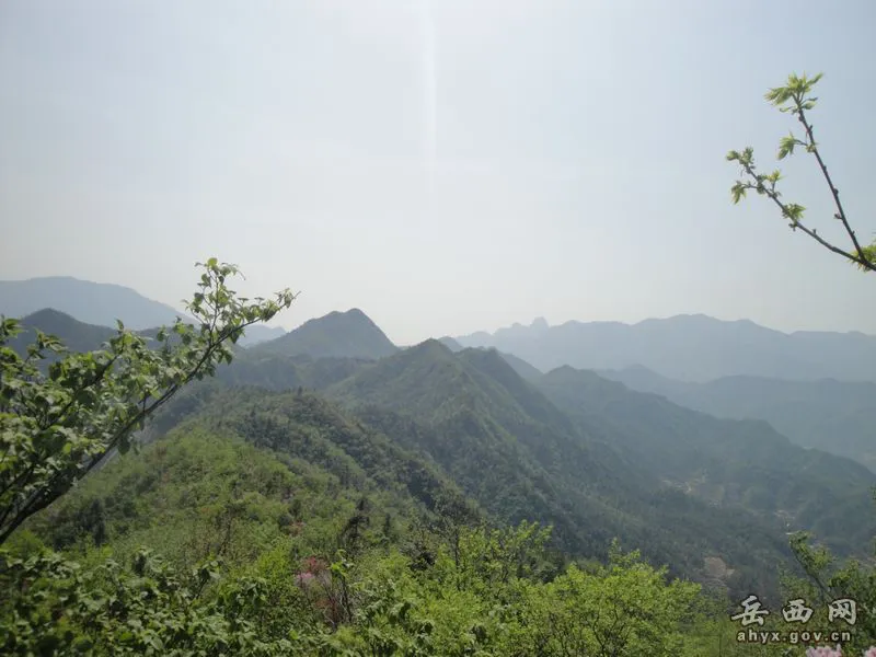 20140425075914453.webp