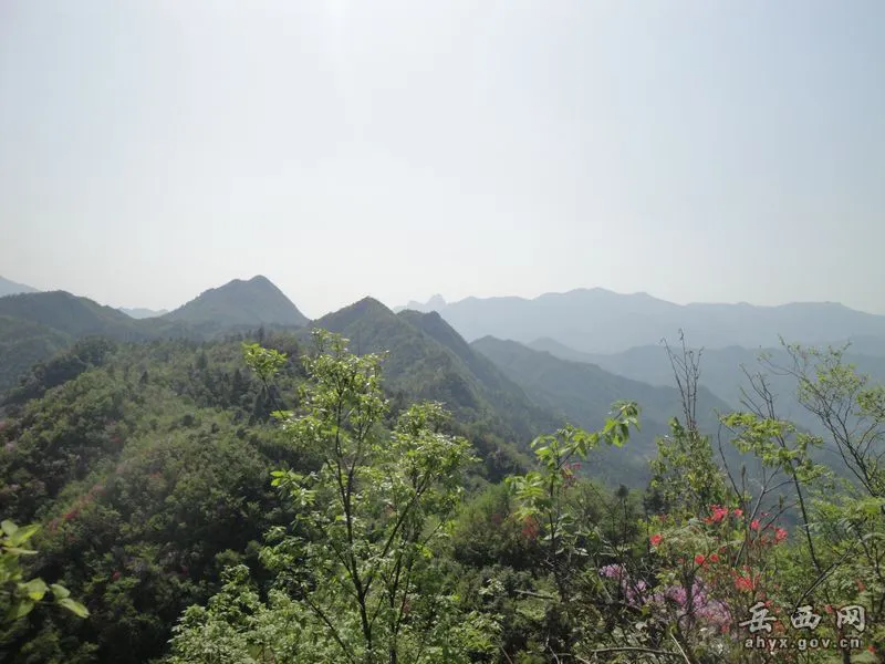 20140425075918149.webp