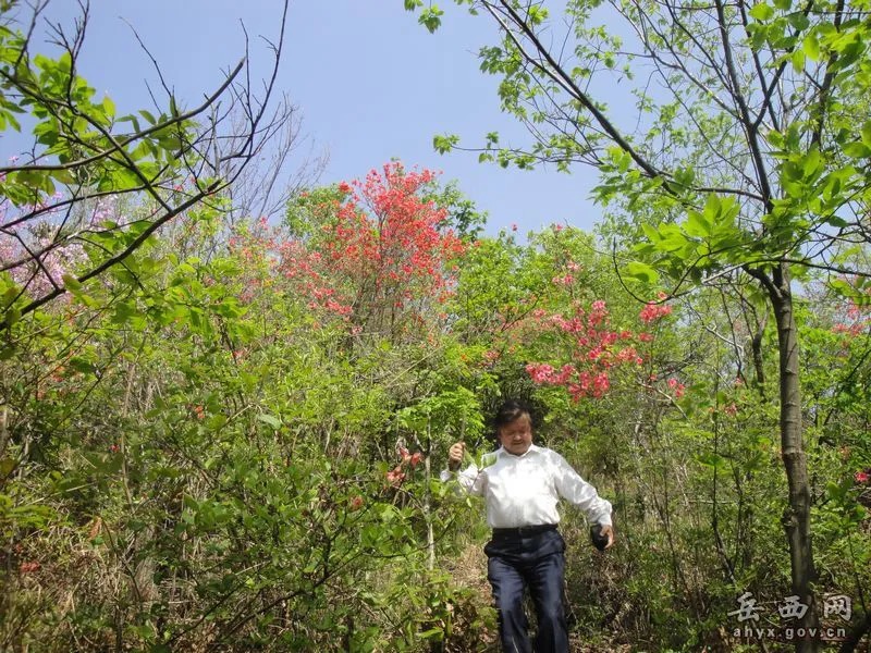 20140425075917384.webp