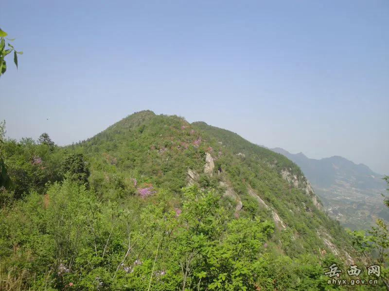 20140425075919103.webp