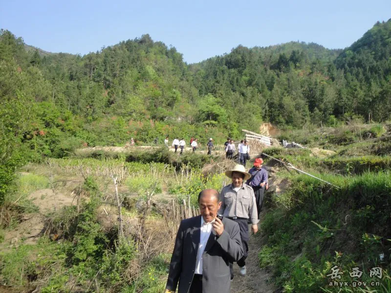 20140425075920627.webp