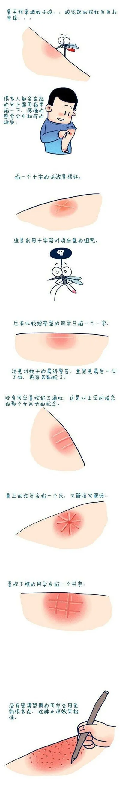 7.webp