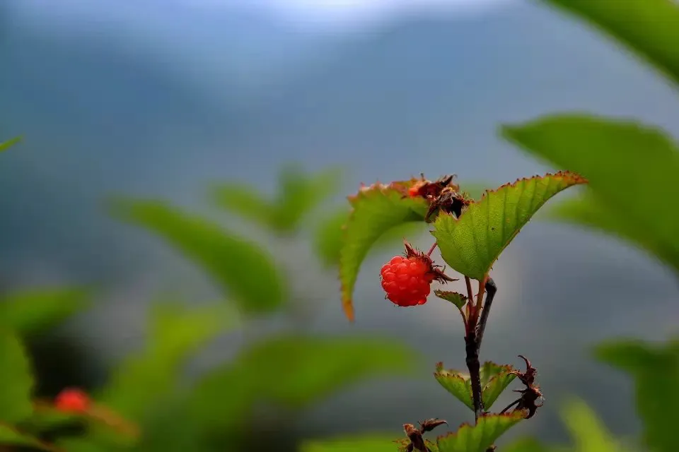 psb (180).webp
