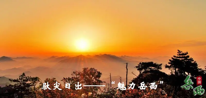 1_副本.webp