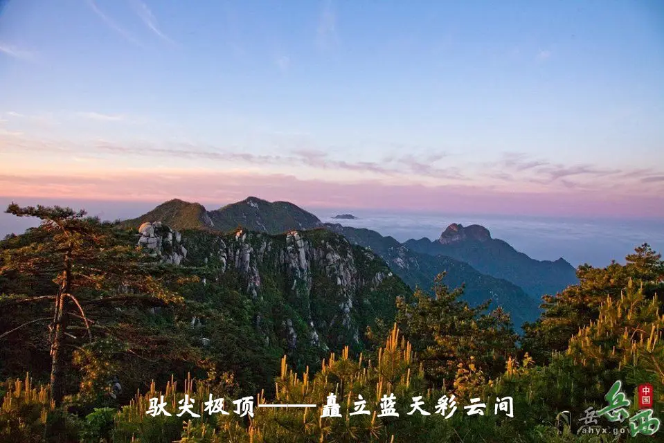 2_副本.webp