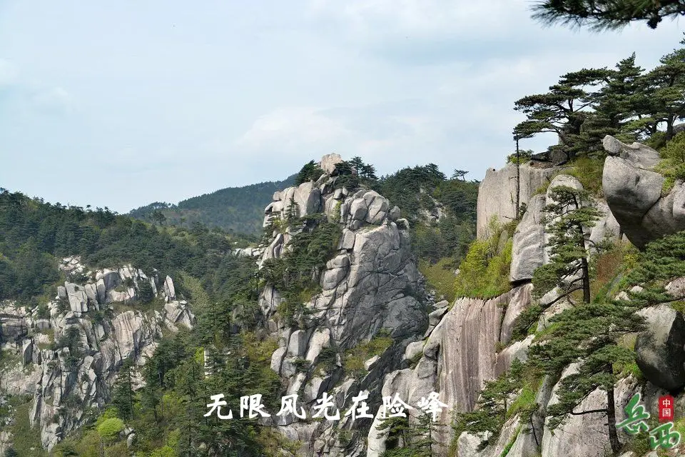 3_副本.webp