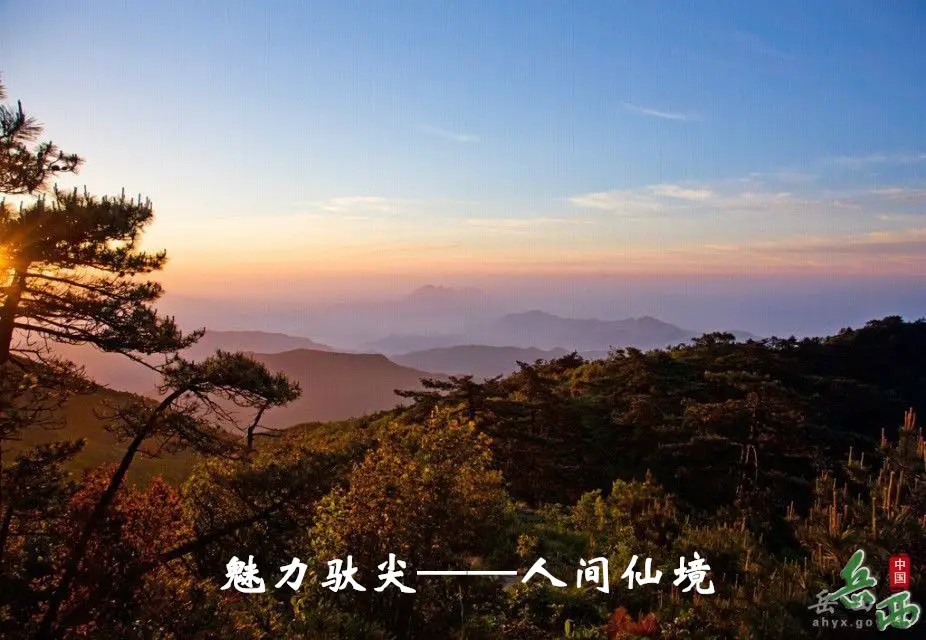 4_副本.webp