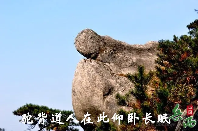 5_副本.webp