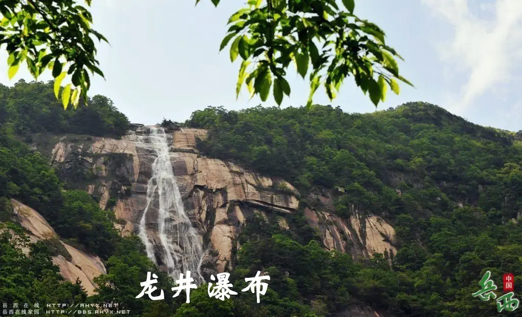 6_副本.webp