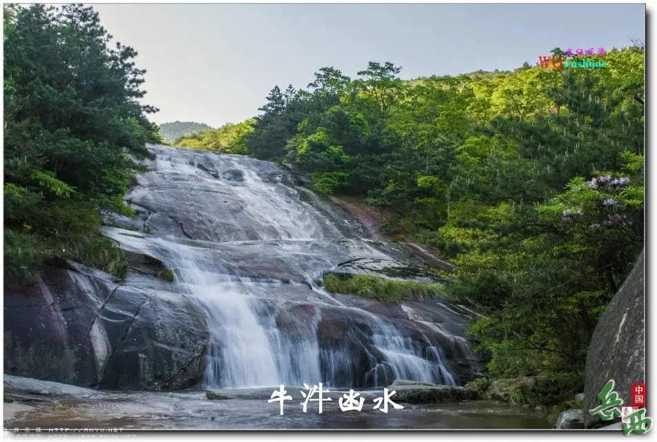 8_副本.webp