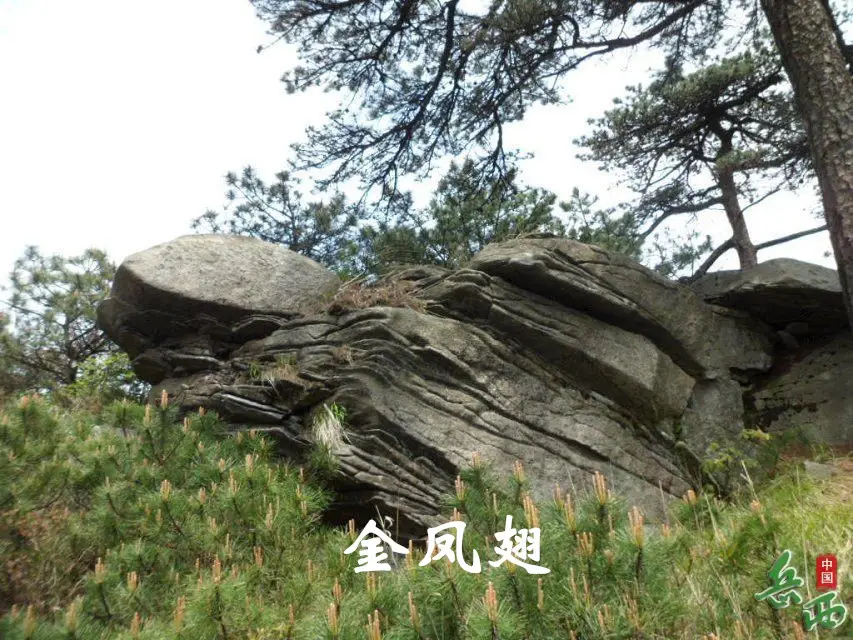 10_副本.webp