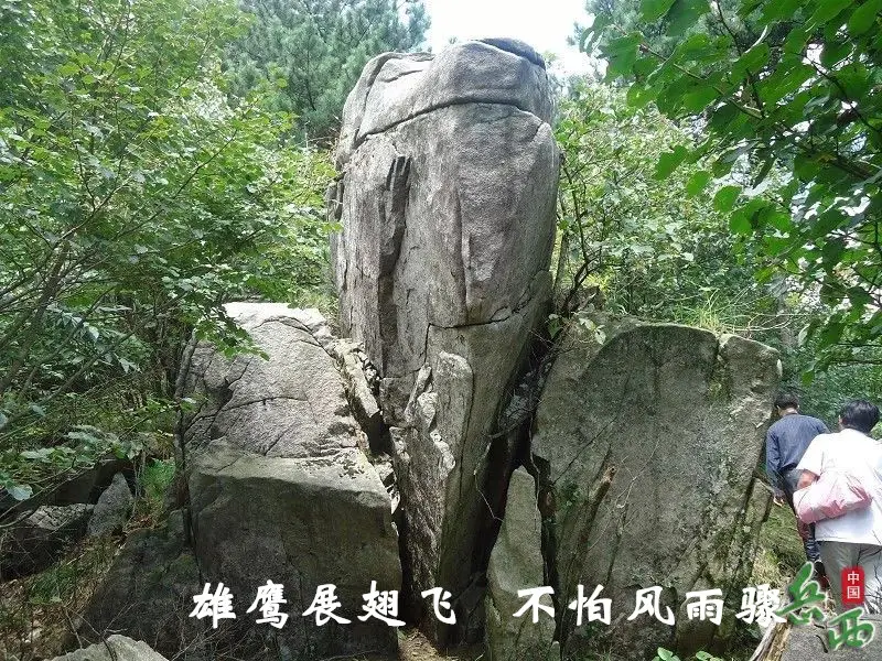 11_副本.webp