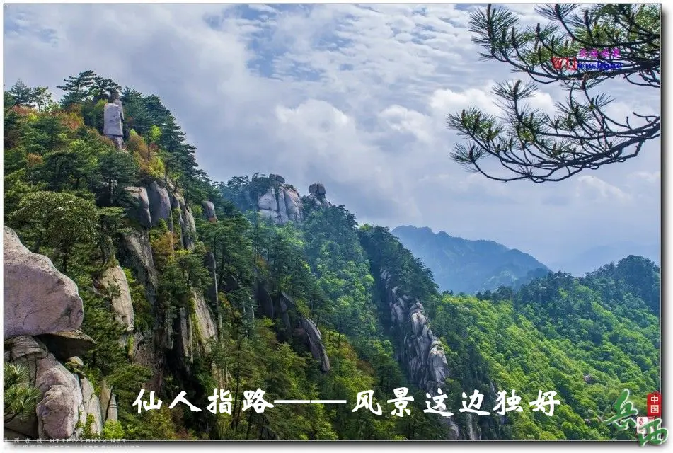 12_副本.webp