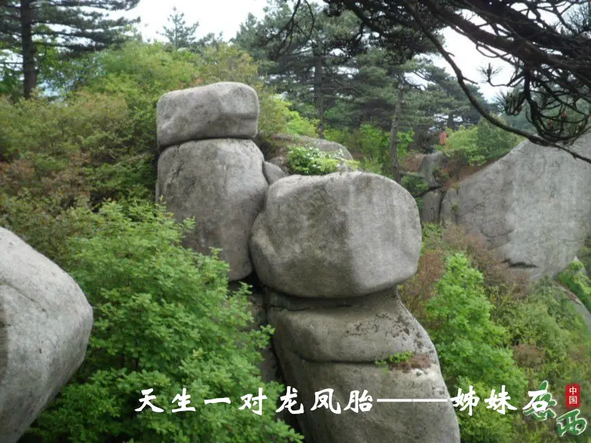 13_副本.webp