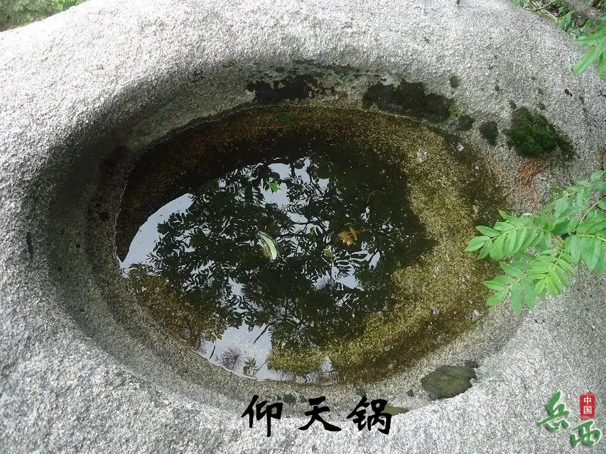15_副本.webp
