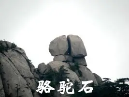 17_副本.webp