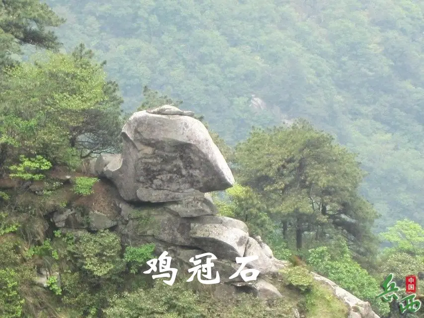 18_副本.webp