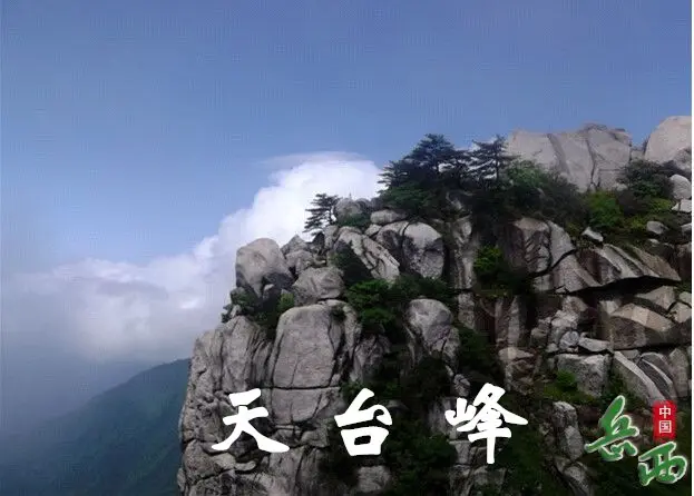 19_副本.webp