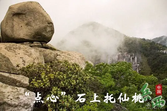 21_副本.webp