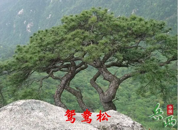 22_副本.webp